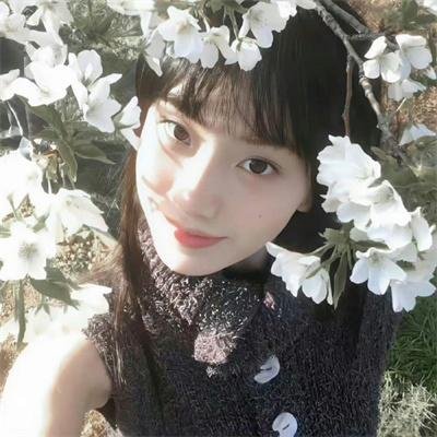 理想主义者